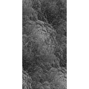 MOON BLACK